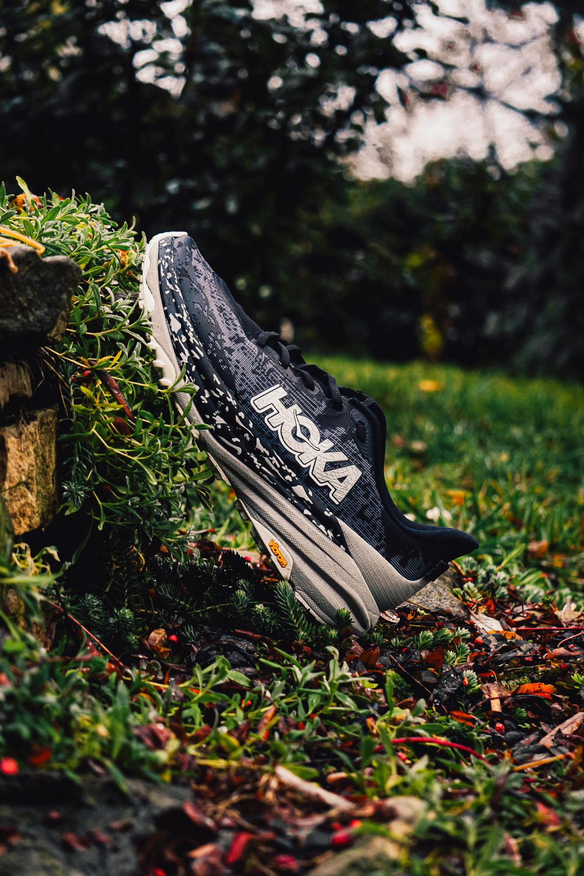 A black running shoe tilted up on a rock in a grassy field